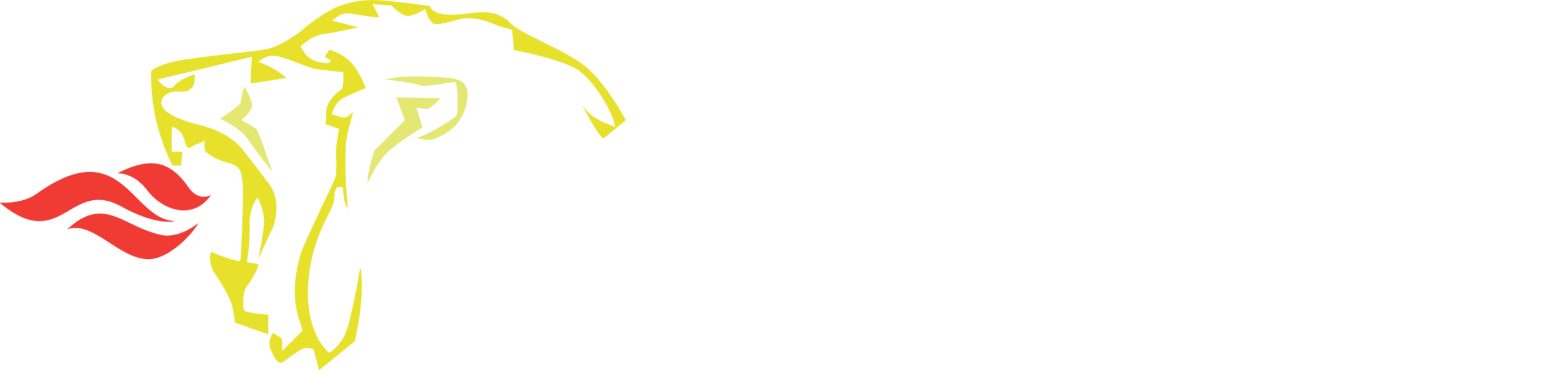 AMENFIMAN RURAL BANK